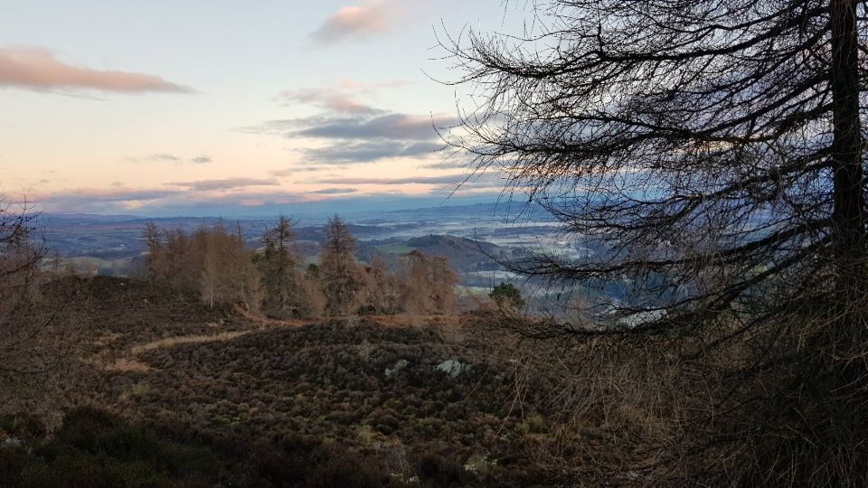 Slideshow 5 - Slide 12